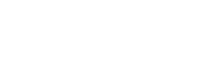 RaceChip